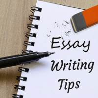 Essay Writing Services 